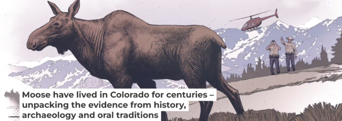 Moose may have been in Colorado longer than previously thought. Illustration courtesy of Ettore Mazza, CC BY-ND Moose may have been in Colorado longer than previously thought. Illustration courtesy of Ettore Mazza, CC BY-ND